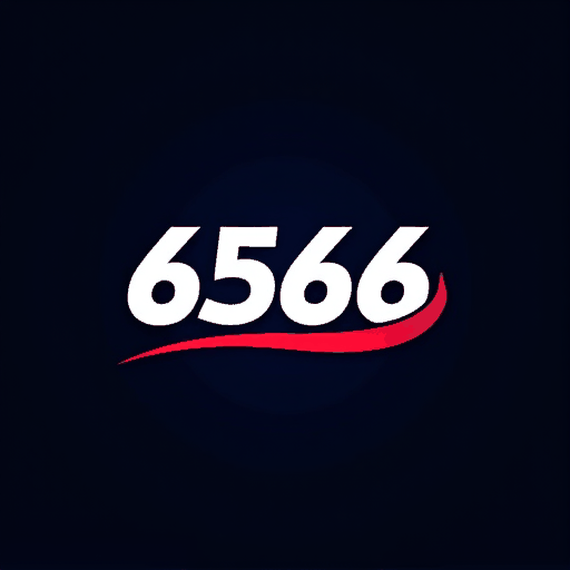 6566 logo